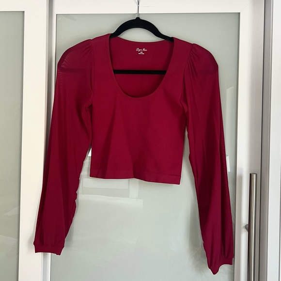 Sugar Rain Tops - 134 - Sugar Rain Women’s Scoop Neck Sheer Sleeves Cropped Long-Sleeve Top